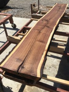 Black walnut slab lumber